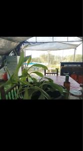 Tienda acogedora con piscina "Amantes de la naturaleza" 1