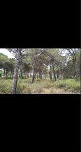 Tienda acogedora con piscina "Amantes de la naturaleza" 1