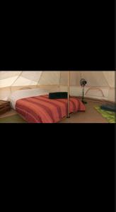 Tienda acogedora con piscina "Amantes de la naturaleza" 1