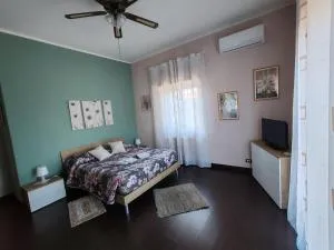 Il tulipano - 格拉维纳迪卡塔尼亚