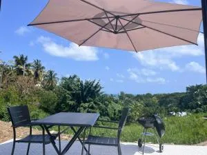 Appartement T2 tout confort au François - Hyacinthe