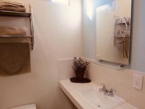 2 Céntrico y Amplio Departamento para 2 a 6 personas