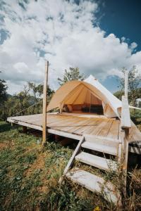 Cioclovina Tribe