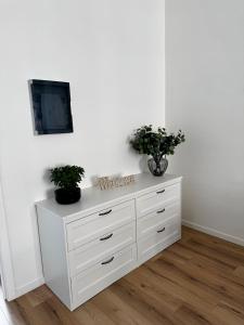 Cozy South-Up and Ground