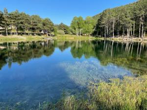Campings Le Nirvana : photos des chambres