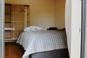 Tūristu apartamenti