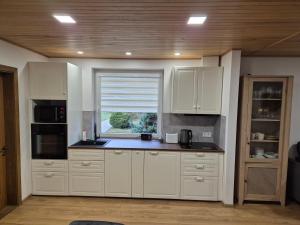 Namas Zarasuose su vyno rūsiu