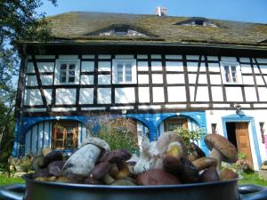 Gesamtes Ferienhaus in Wolimierz mit Offenem Kamin