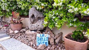 Appartamento Dolce Vita San Teodoro