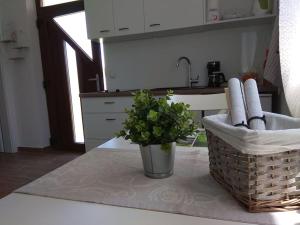 Marija- ground floor studio next to the beach