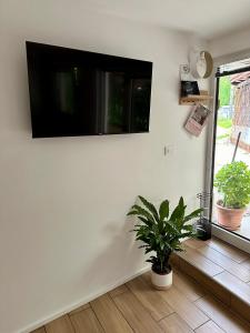 Alpine Echo Apartments