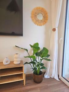 Chambre dhôte BALI