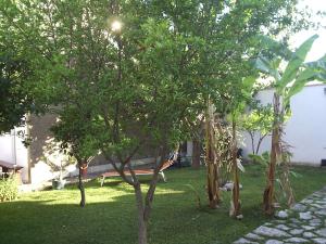 RimediRo B&b
