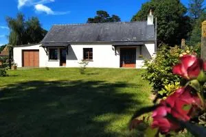 Les Hêtres Inséparables aux portes du DDay - Bernesq