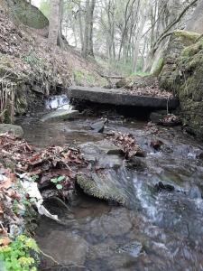 Beautiful countryside cottage, sleeps 6, dogs welcome