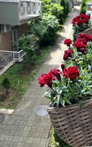 Apartment, Vrnjacka-Banja, Raj