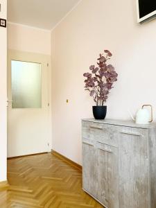 Apartment, Vrnjacka-Banja, Raj