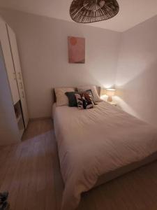 Appartements Joli 2 pieces renove a proximite des plages : photos des chambres