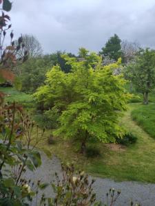Chez Marie Roulotte