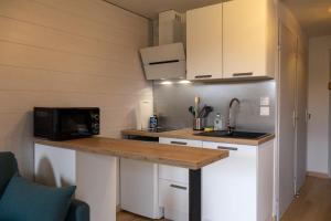 Chaleureux appartement avec balcon au cœur des Rousses