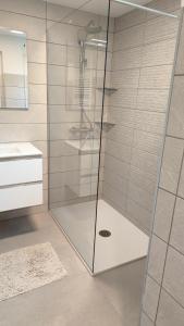 Sava river house - apartments