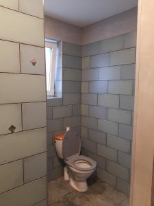 Apartman u lesa