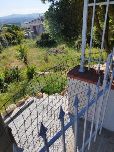 MIRTO E ROSMARINO img5