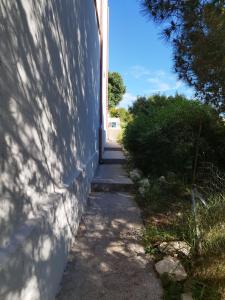 MIRTO E ROSMARINO img6