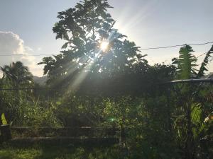 Cockpit County Mountain Room