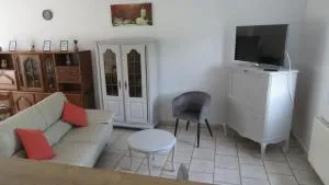 Gite en Sologne, -Châteaux de la Loire, Beauval - - 伯夫龙河畔讷安