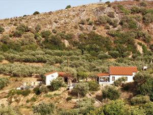 Impressive Platanias Villa Villa Bulma 2 Bedrooms Private Pool