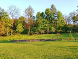 Apartament z ogrodem