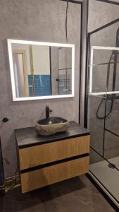 Appartements Suite des Lices a 2 minutes de la Gare- Chateau de blois - Suite des Lices 2 minutes from train station - Chateau de Blois : photos des chambres