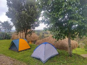 Campamento La Esperanza - Trae tu carpa