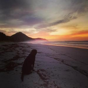 Praia de Itamambuca- Casa charmosa e iluminada