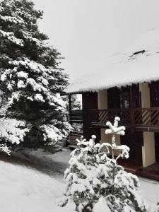 Appartements Le duplex de Dana, Gresse en Vercors, Alpes du Nord, classement 3 etoiles par Atout France : photos des chambres