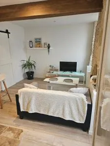 Appartement centre historique d'Auch - Castin