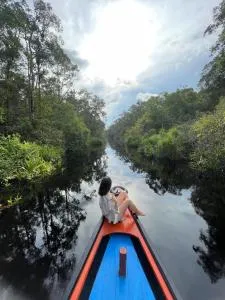 Cakrawala Borneo Tour Tanjung puting - 庞卡兰布翁