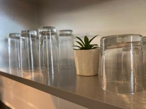 Charming Downtown Seattle Condo with Water Views