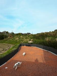 private villa クニウミ之チ