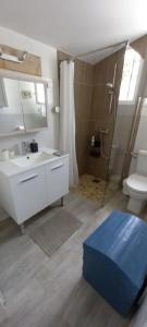 Maisons de vacances Beautiful accommodation with spa in Rivedoux-Plage : photos des chambres
