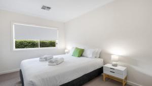 Amber Lakes - The Vintage