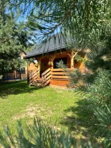 Roztocze- Domki w Zagajniku - Adamów