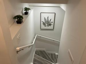 Cozy newly built 1 bedroom suite