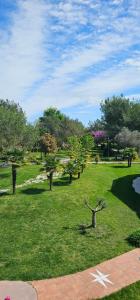 Green Park Divjakë
