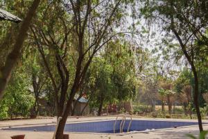 Tathastu Bandhavgarh