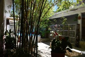 La Playita Hostal
