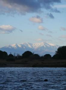 Juste au bout du chemin, létang