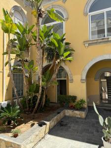 Oltremare Home