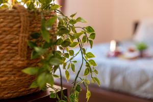 Sardinia Re - Sweet Harmony Apartment img21